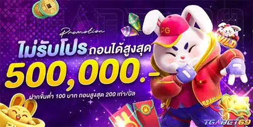 ไม่รับโปร